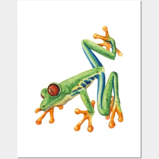 Dart frog Posters and Art